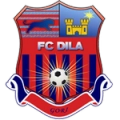 Dila Gori