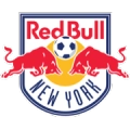 Red Bull New York II