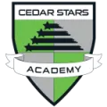 Cedar Stars